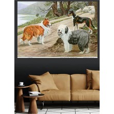 Mushen Studio Collie Old English Sheepdog Smooth Collie Köpekler Kanvas Tablo