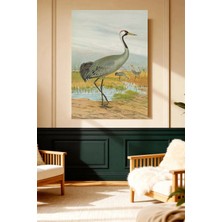 Mushen Studio Kızıl Turna Kuşu (Sandhill Crane) Vintage Kanvas Tablo Büyük Boy Yağlıboya Tarzı Kuş Resmi