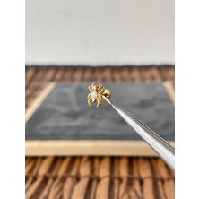 Aida Jewelss %100 Cerrahi Çelik Örümcek Zirkon 6x1.2mm Altın Labret Piercing
