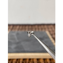 Aida Jewelss Yüksek Kalite G23  Kalp Noktalı Titanyum 6x1.2mm Labret Piercing