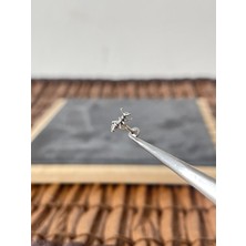 Aida Jewelss %100 Cerrahi Çelik Karınca 6x1.2mm Çelik Labret Piercing