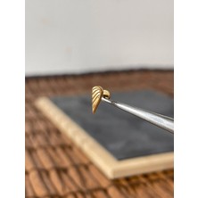 Aida Jewelss Yüksek Kalite G23 Kanat Altın Titanyum 6x1.2mm Labret Piercing