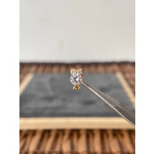 Aida Jewelss Yüksek Kalite G23 Titanium Baykuş Zirkon Altın Titanyum 6x1.2mm Labret Piercing