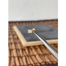 Aida Jewelss %100 Cerrahi Çelik Taç Zirkon 6x1.2mm Altın Labret Piercing