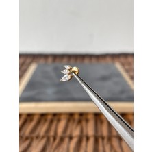 Aida Jewelss %100 Cerrahi Çelik Üç Markiz Zirkon 6x1.2mm Altın Labret Piercing