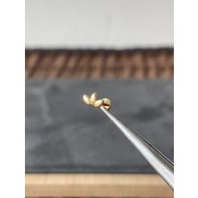 Aida Jewelss Yüksek Kalite G23 Buğday Zirkon Altın Titanyum 6x1.2mm Labret Piercing