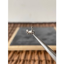 Aida Jewelss Yüksek Kalite G23 Titanium Kedi Titanyum 6x1.2mm Labret Piercing