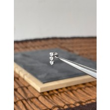 Aida Jewelss Yüksek Kalite G23 3 Kalp Zirkon Titanyum 8x1.2mm Labret Piercing