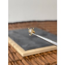 Aida Jewelss Yüksek Kalite G23 Akrep Zirkon Altın Titanyum 6x1.2mm Labret Piercing