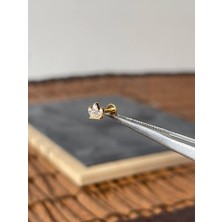 Aida Jewelss Yüksek Kalite G23 Taç Zirkon Altın Titanyum 6x1.2mm Labret Piercing