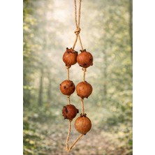 Macc Doğal Meşe Mazılı Kuş Oyuncağı – El Yapımı Doğal Oyuncak