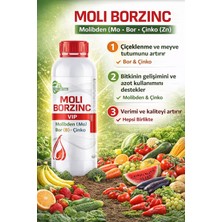 Molıborzınc 1l Çiçeklendirici Molibden Bor Çinko