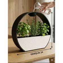 DenizCanlilari Modern Halkalı Dekoratif Saksı - Sulama Hazneli  Saksı - 22X24 cm