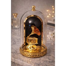 Banum Luxury Lüx Hedıye Altın Varaklı Dekoratif Cam Fanus ve Içinde Elit Bileklik
