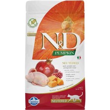 N&d Pumpkin Tahılsız Bıldırcın Etli Bal Kabaklı ve Narlı Kısırlaştırılmış Kedi Maması 1,5 kg