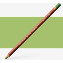Derwent : Drawing : Renkli Kuru Boya Kalemi : Moss Green