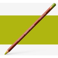 Derwent : Drawing : Renkli Kuru Boya Kalemi : Fresh Green