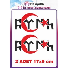 F17 Ajans 2 Adet Göktürkçe Türk Yazısı Ütü ile Yapışan Tekstil Kumaş Tişört Dtf Baskı