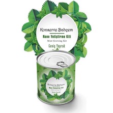 Pazarcan Mey Ithalat® Konserve Bahçem Nane Yetiştirme Kiti