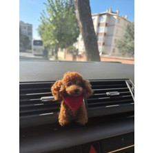 Zemira Home Araç Süsü,torpido Aksesuarı- Kaniş