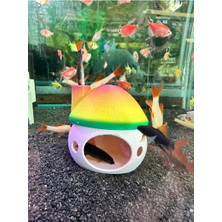 BarsDepo Mantar Ev Akvaryum Dekor – Balık Saklanma Alanı