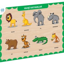 Bucuks Mey Ithalat® CAAHS-3213 Ca Games Ahşap Vahşi Hayvanlar Bul-Tak