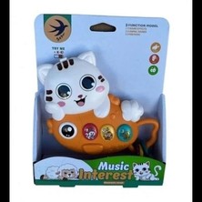 Bucuks Mey Ithalat® 855-202D Pilli Müzikli Kedi -Zrv