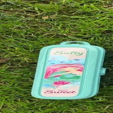 Epilons Turkuaz Multi Renkli Kapaklı Kalemlik Kutusu -Çanta Içi Saklama - Diş Fırçası - Makyaj Fırçası Kutu