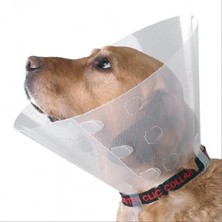 Epilons Yakalığı Small 12,5cm Ø/ 28-33CM