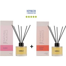 Bargello Çiçeksi Natural Place + Karpuz Mango Dynamic Place Dekoratif Ortam Kokusu 120 ml - Bambu Çubuklu