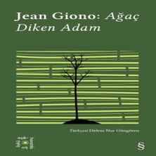 Epilons Ağaç Diken Adam - Açıkhava 17