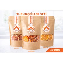 Turunçgiller Meyve Kurusu Seti 3X100G | Portakal | Mandalina | Greyfurt |