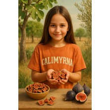 Küp Doğranmış Germencik Siyah Incir Cipsi 100GR