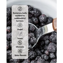 Kurutulmuş Aronya Doğal & Katkısız Atıştırmalık 50GR