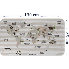 Eğitici Dünya Haritası Dünya Atlası Çocuk ve Bebek Odası Duvar STICKER-85X130-3803