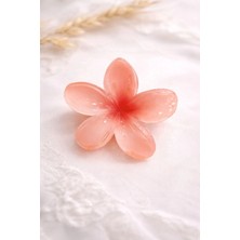 Nati Co Şeffaf Mercan Rengi Lotus Çiçek Toka – Zarif Günlük & Özel Gün Saç Aksesuarı (8cm)