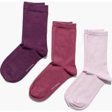 Paul Kenzie 3'lü Soket Çorap - Rainbow 6