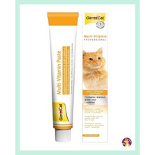 Gimcat Multi Vitamin Pasta Kedi Macunu 100 gr Lezzetli ve Enerji Desteği Sağlayan Takviye