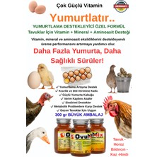 Ovumix Yumurtlama Artırıcı Vitamin Mineral Aminoasit Takviyesi | Kısırlık & Verim Destekleyici 300GR