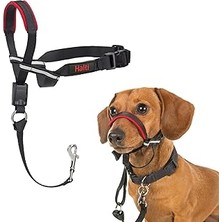 Starseven Company Of Animals Halti Optifit Baş Tasması - Dolgulu Burun Bandı, Ayarlanabilir Yansıtıcı, Küç