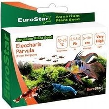 Starseven Eurostar Bitki Eleocharis Parvula