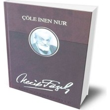 Belirtilmemiş Çöle Inen Nur (Deri Ciltli)