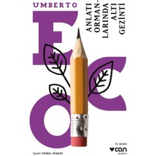 Mey İthalat Anlatı Ormanlarında Altı Gezinti