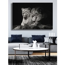Şehber Tekli, Yatay, Kanvas, Dekoratif, Duvar, Tablosu , Siyah Beyaz, Dişi Erkek Aslan,