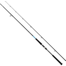 Shimano Bassterra Xt Shore Jigging 3.05M 30-100GR Shore Jig Olta Kamışları