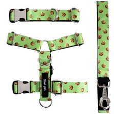 Jimi Pet Cookie Model Tasma Seti Small Beden Yüksek Kalite Metal Aksesuarlar ile Konforlu Kullanım