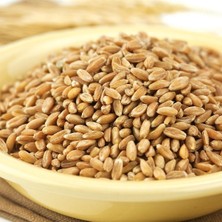 Ayvalık Baharat Buğday Tavuk Güvercin Yemi 2 Kg