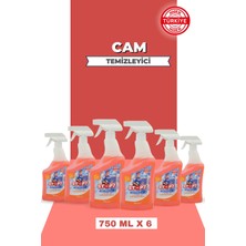 Stop Forte 6' Lı Cam Temizleyici Sprey 750 ml