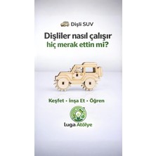 Stemist Box: Dişli Suv