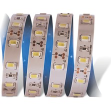 5 Metre Cata Ct 4535 Iç Mekan 12V 12 Çipli  Şerit LED 6400K Beyaz Işık